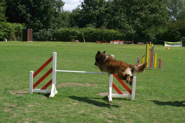 agility 2011-07-24